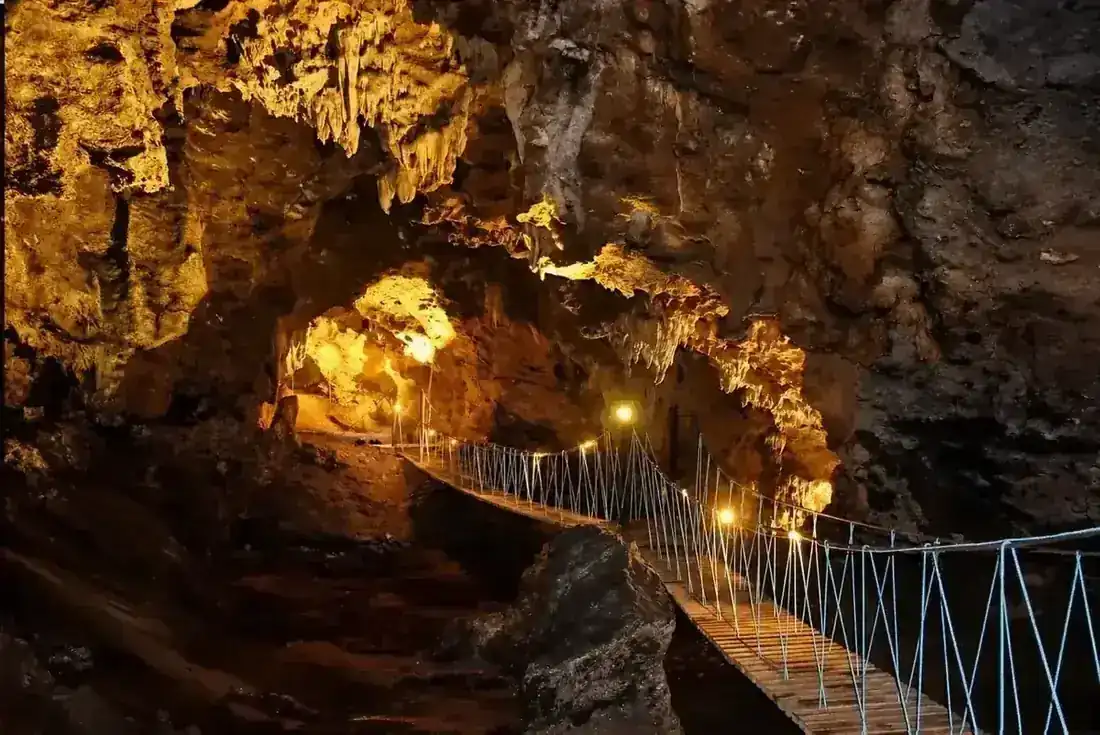 Illuminated Limestone Cave Walkway at Freshwater Plantation