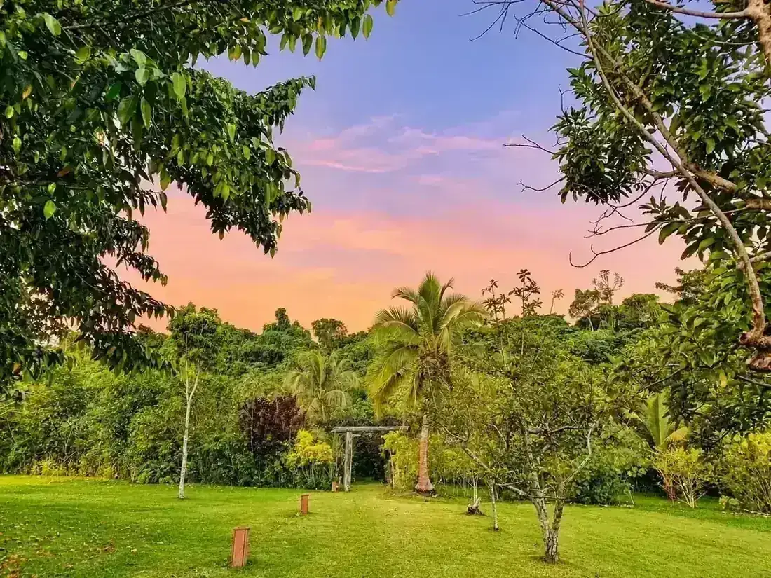 Pastel Sunset tropical Garden at Freshwater Plantation